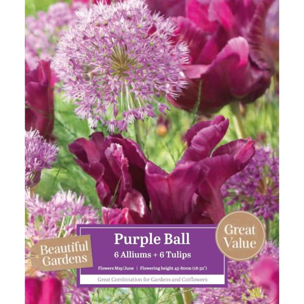 Allium & Tulip Purple Ball Mix